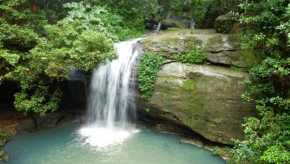 Buderim Forest Hideaway